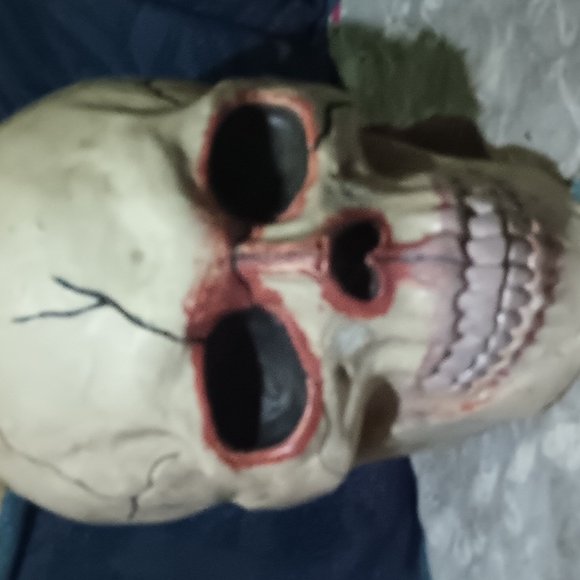 Huge scull mask - Picture 1 of 2